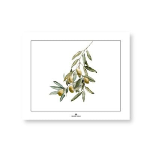 Wild Olives Paper Placemat Pad