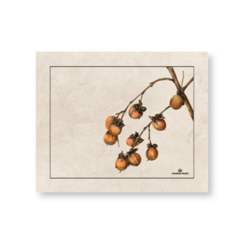 Persimmon Paper Placemat Pad